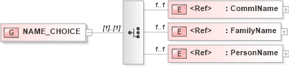 XSD Diagram of NAME_CHOICE in schema acord-pcs-v1_16_0-ns-nodoc-codes_xsd (Acord - Property & Casualty/Surety Standards Program)