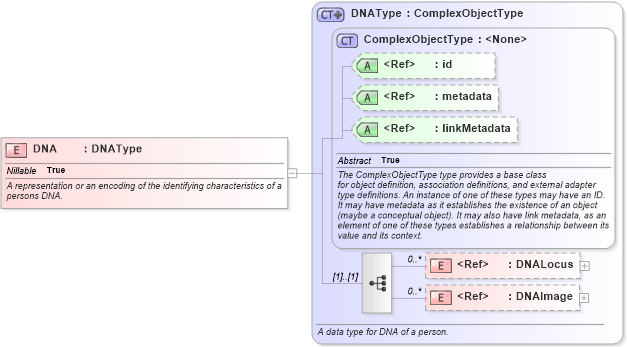 XSD Diagram of DNA in schema niem-core_xsd (National Information Exchange Model (NEIM))