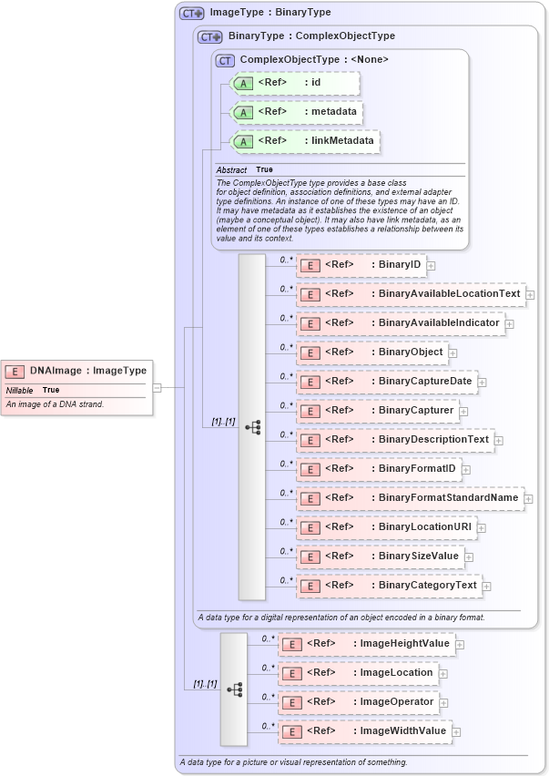 XSD Diagram of DNAImage in schema niem-core_xsd (National Information Exchange Model (NEIM))