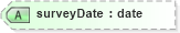 XSD Diagram of surveyDate in schema landxml-1_1_xsd (National Information Exchange Model (NEIM))